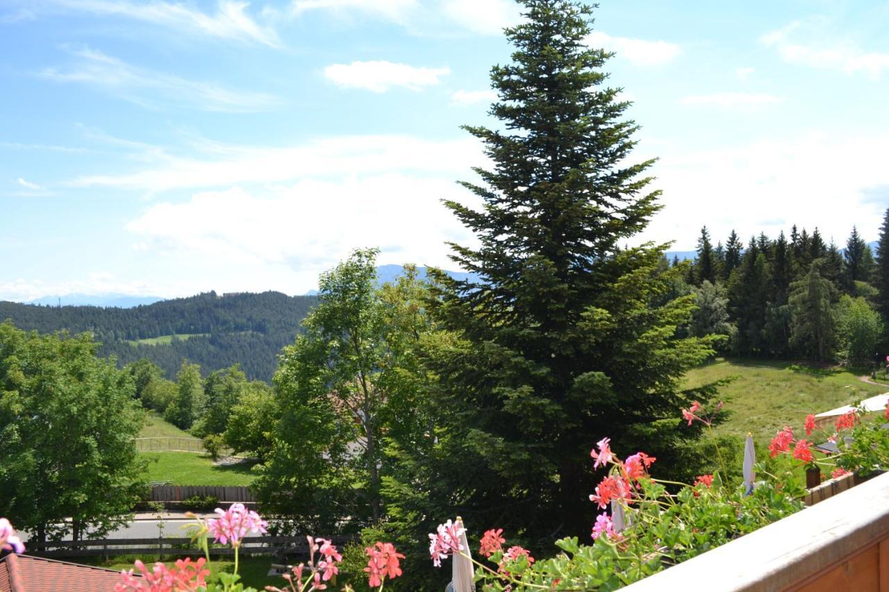 Gasthof Zum Gruenen Baum 베라노 외부 사진